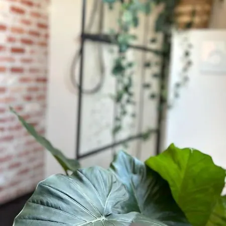 Appartamento Duplex Couvèrme